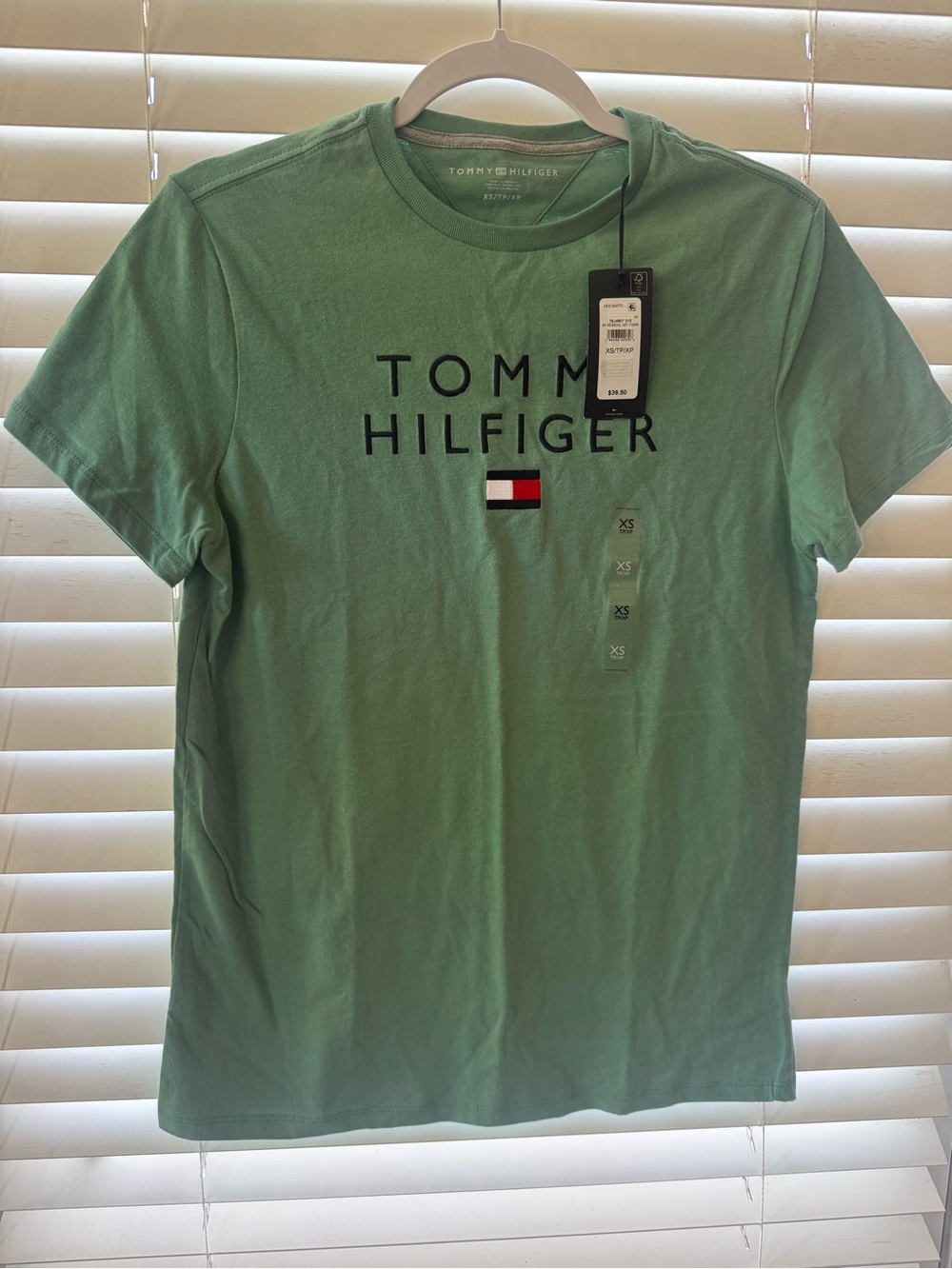 Tommy Hilfiger Mint Green Logo Short Sleeve Tee